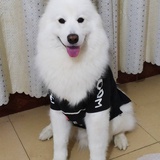 是小萨呀