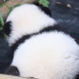 夏天