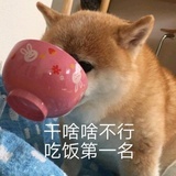 鱼腩生