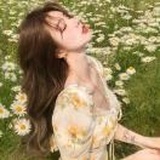 啊葵君🌻