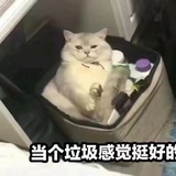 馋嘴的（）