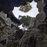 山山千叶红