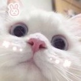 氤氲