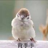 阳小街