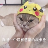 我当初咋想的