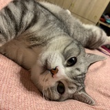 豆友206126054