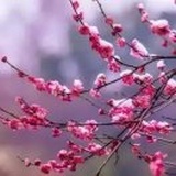 安静
