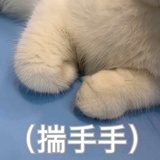 二丫