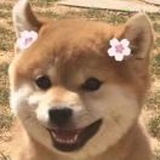 略略略