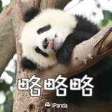 一只小橘子