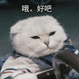 南风北吹