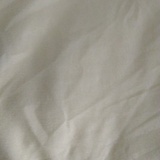 菠萝菠萝蜜