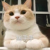 豆友206190817
