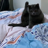 主子在上