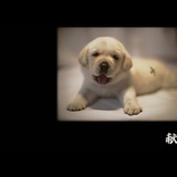 豆友206275438
