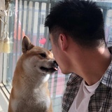 哇哈哈
