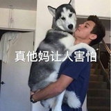 墨天翎