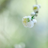 一米阳光
