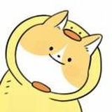 豆友206327602