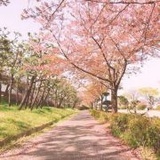 艾蜜莉
