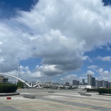 大懒虫