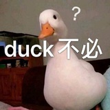 我的瓜瓜