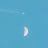 杉月