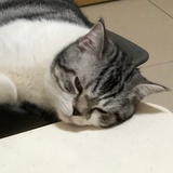 豆友206391008