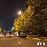 荟网周舟