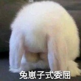 吃瓜好累