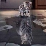 笑看人生