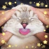 码头小花