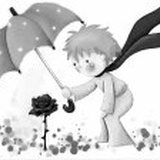 杨姿
