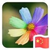 小艾