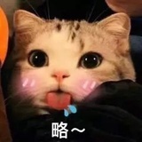 菜鸡小姜
