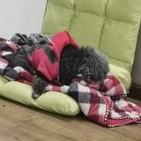 千寒
