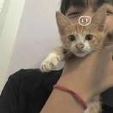久伴成瘾