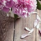 拂晓