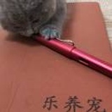 乐养宠