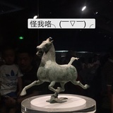 风清草同