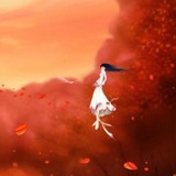 猪大小小星