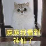 今天也要加油呀