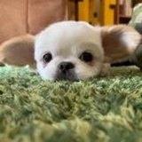 小盒子