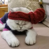 豆友206665036