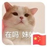 小徐小徐 从不多