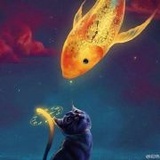 小银鱼和短腿猫