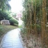 焱焱