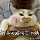 花🌸 花啊