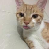 包包包