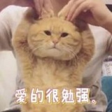 花花爱花花